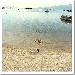 praia praia