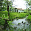 DSCF1228.JPG