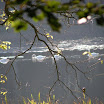 PA090651.JPG