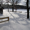 Nature Photos