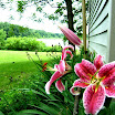 DSCF1635.JPG