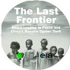 Illegal Logging in Papua