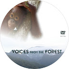 Voices from the Forest