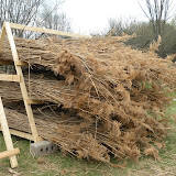 Reeds and Thatch Roof