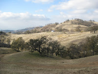 IMG_1136.jpg