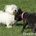 09042011 16h28-34.jpg