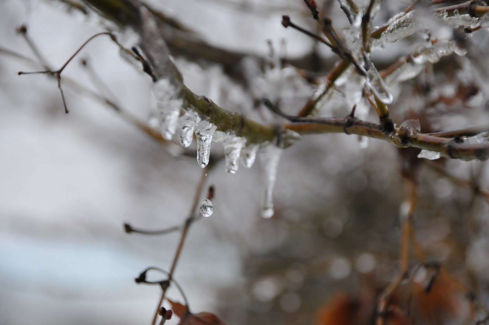 [DSC_7605[2].jpg]