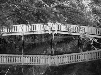 [Bridge at Myrtles[3].jpg]