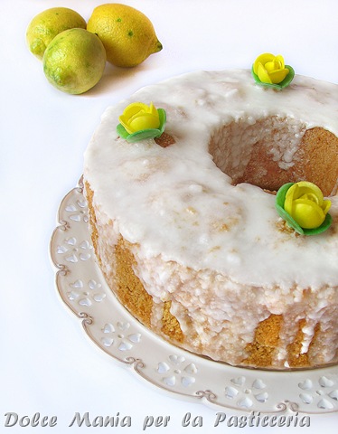 [torta chiffon3con filtro[44].jpg]