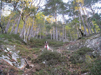  (Tveit, Hordaland, Norway) Photo