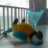 Cuervo passed out.JPG