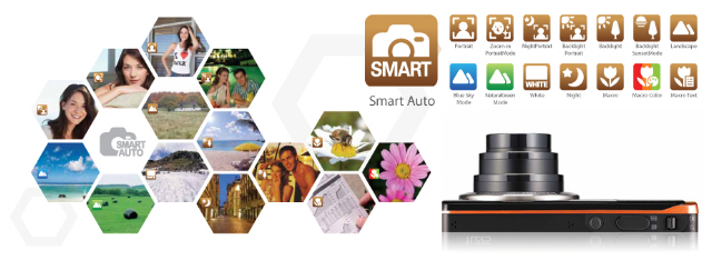 smart_dual_view.png