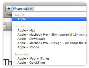 features-browsing-smartaddress-20090528.jpg