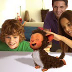 Eyepet_3.jpg