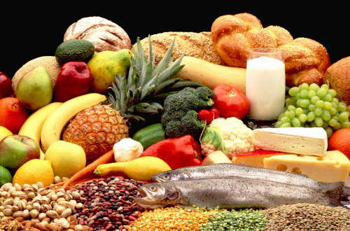 Nutricion