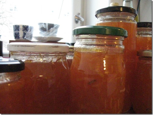 godaste apelsinmarmeladen godaste apelsinmarmeladen