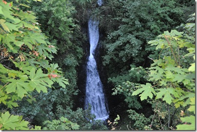 Oregon Water Falls 055