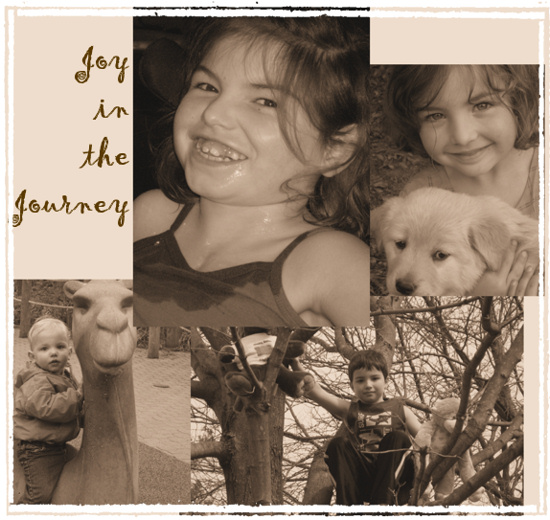 Joy in the Journey
