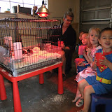 March 29 2010 034.jpg