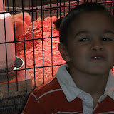 March 29 2010 048.jpg