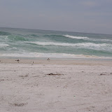Destin 2009 049.jpg