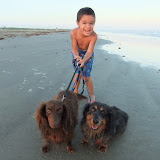 Galveston Fall 2010 014.jpg