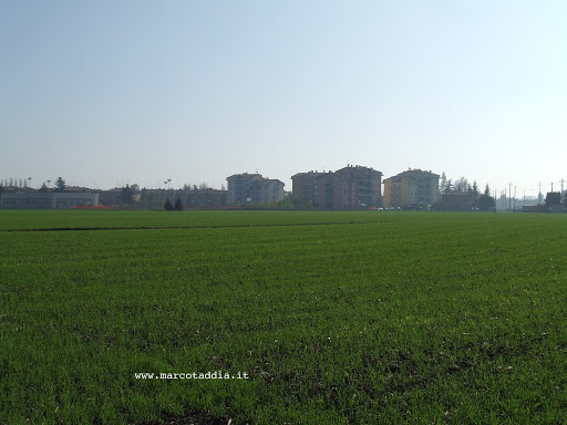 Corte Centese il 16/11/2008 Corte Centese il 16/11/2008