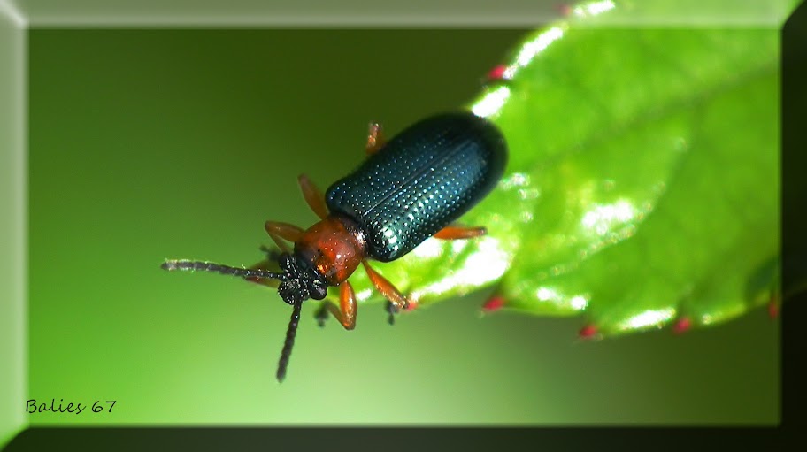 Fun & Info @ Keralites.net