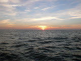 P1000392.JPG
