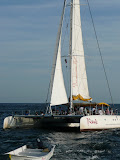 Sail boat getting a little tooo close while on the Dancer