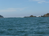 P1000430.JPG