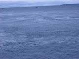 DSC01601.JPG