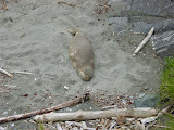 DSC01631.JPG