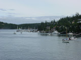 DSC01653.JPG