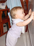 DSC01536.JPG