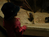 P1000638.jpg