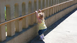 P1010619.JPG