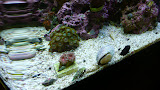 09_14_2009 183.JPG