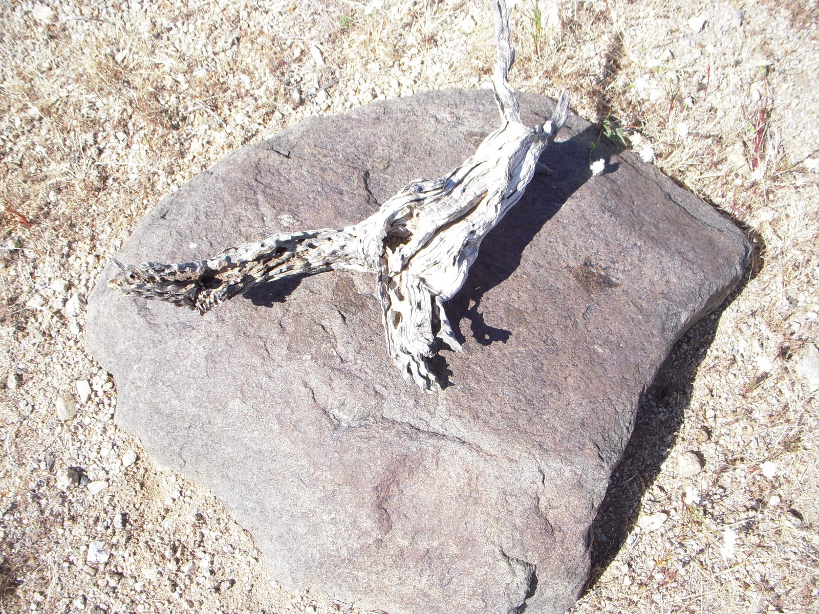 [DSCN2897.JPG]