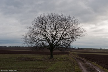 [2010-02-23---08-58---20100223085815015[2].jpg]