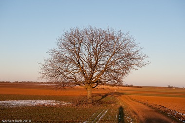 [2010-03-07---17-50---20100307175044026[2].jpg]