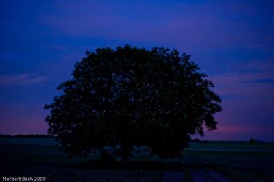 20090526212020020