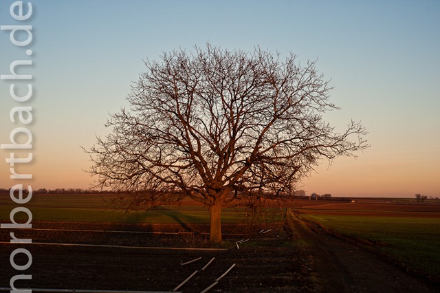 [201102071716201102071716173482.jpg]