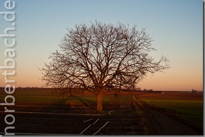 2011-02-07---17-16---20110207171617348