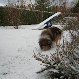 I November 2008 faldt den første sne