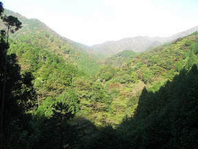 2008/11/2�F�犄�R�`��Ă����ǂ�R�s�`