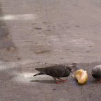 PICT1344.JPG