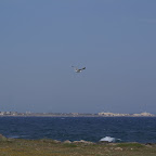 PICT1413.JPG
