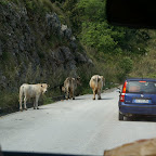 PICT0829.JPG