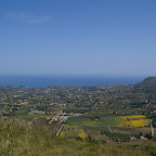 PICT0795.JPG